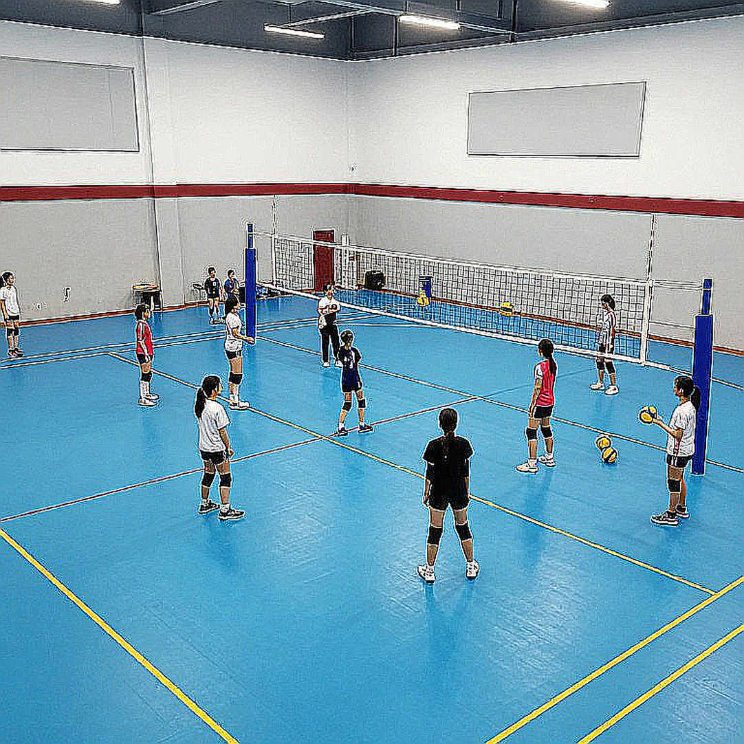 Bóng chuyền và cái bẫy của bản phân tích trống: khi dữ liệu trở về số không