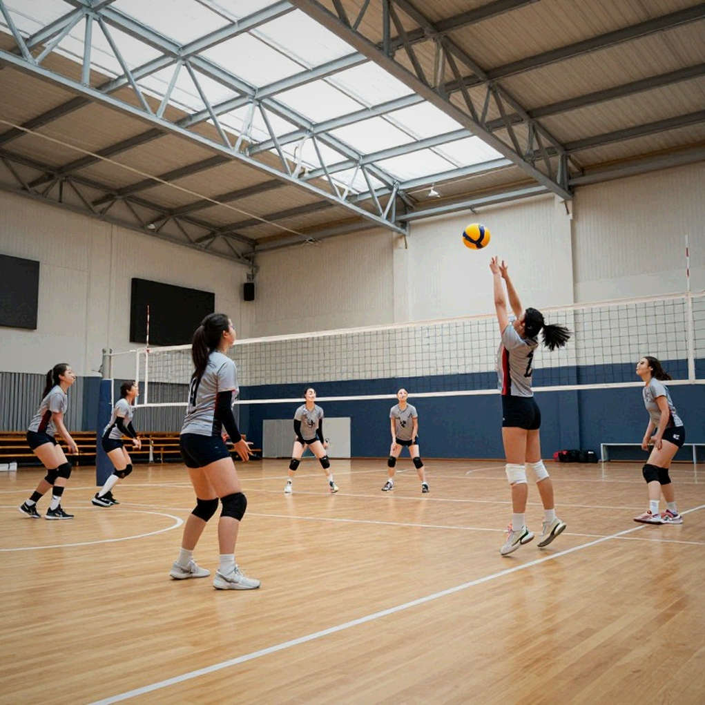 Vietnam Volleyball 2026: What the Medical Bulletin Never Recorded